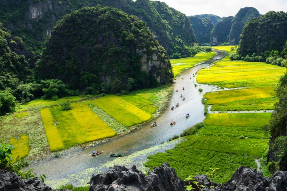 Vue panoramique de Tam Coc à Ninh Binh